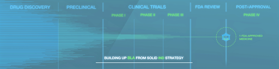 As The Project Partner, BLA Regulatory Congratulates ImmuneOnco On ...