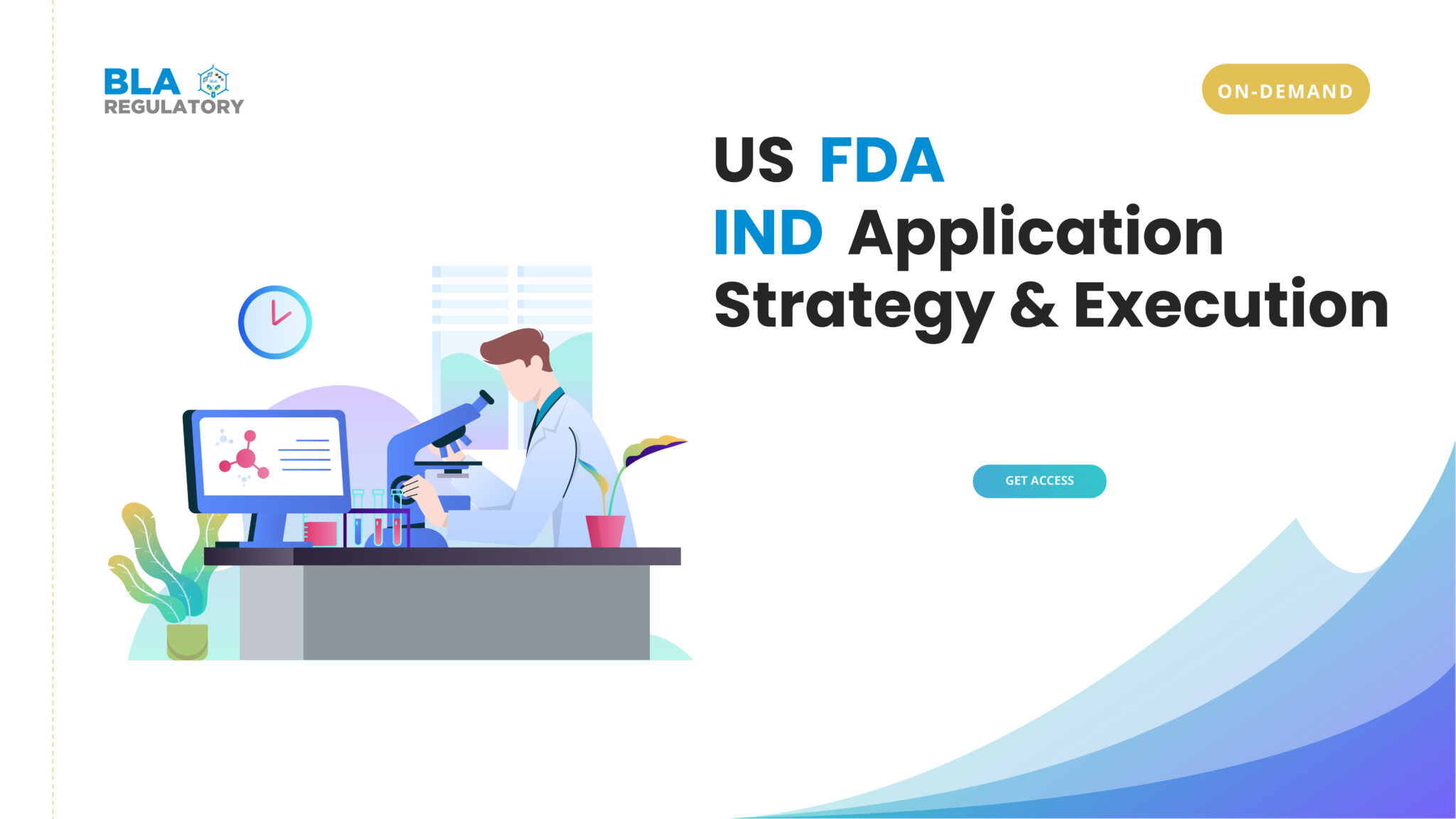 US FDA IND Application Strategy And Execution — BLA Regulatory