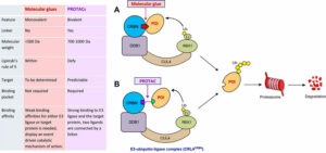 molecular-glues-protac