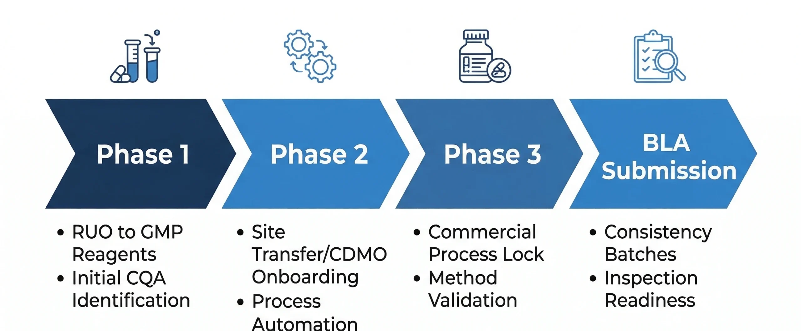 Bla Cgt Development Fda Scaled