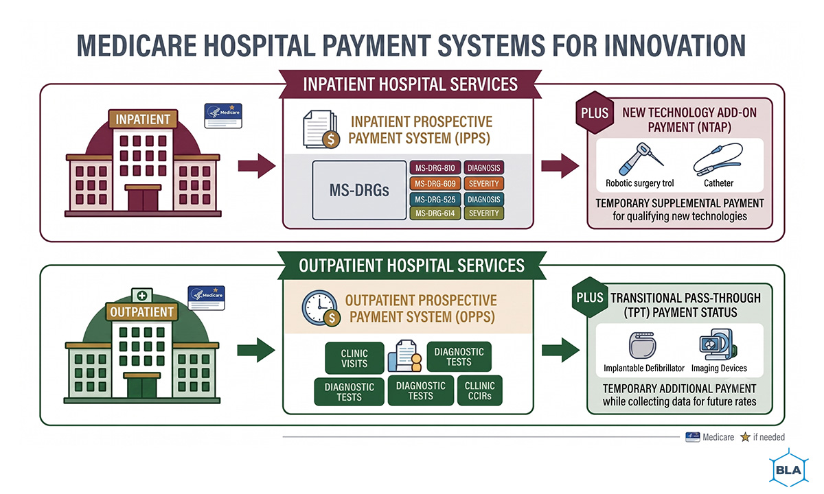 Diagram of Medicare inpatient and outpatient payment systems including IPPS, OPPS, NTAP, and Transitional Pass-Through programs.