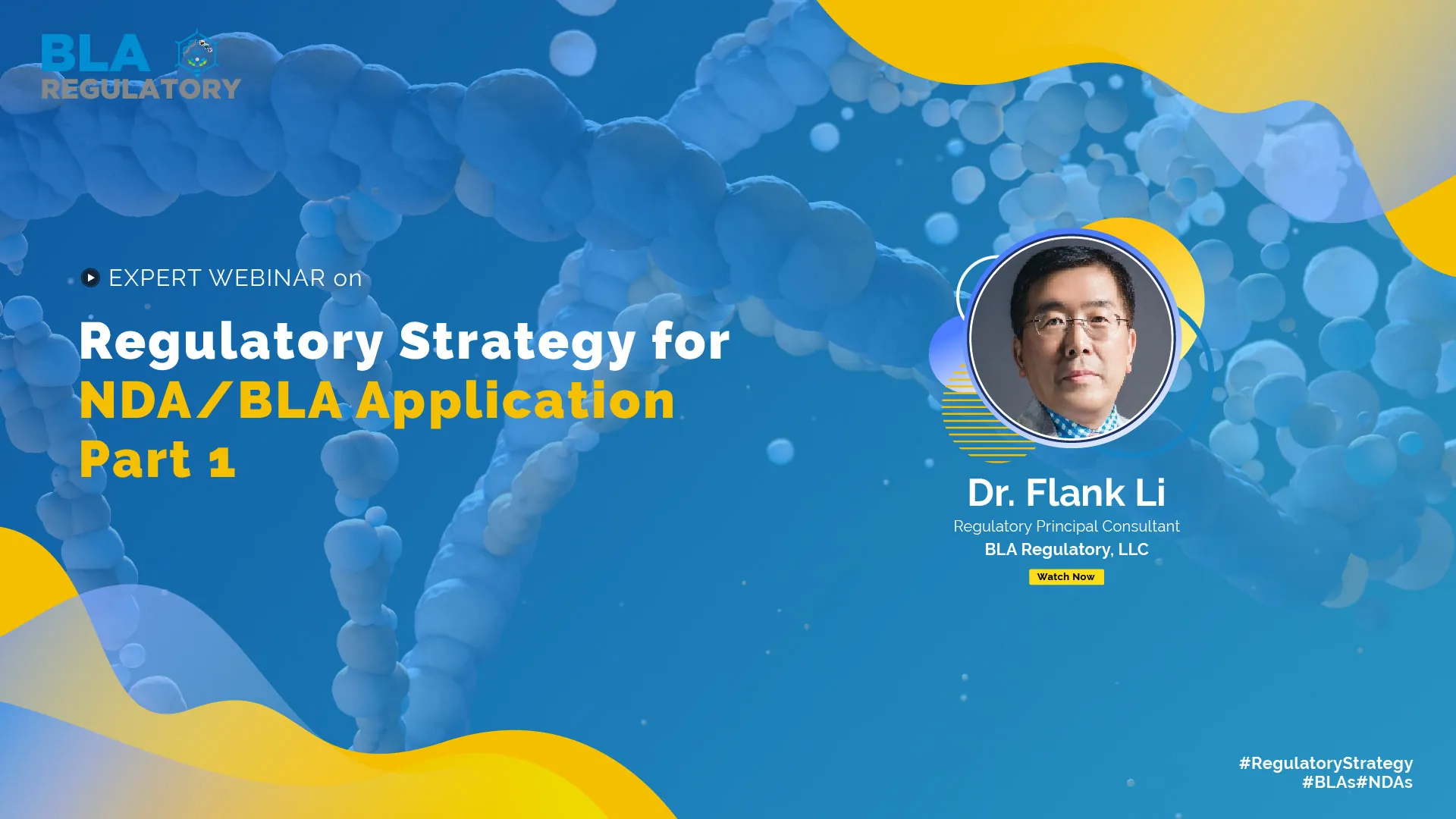 Day1 Regulatory Strategy And Execution 01