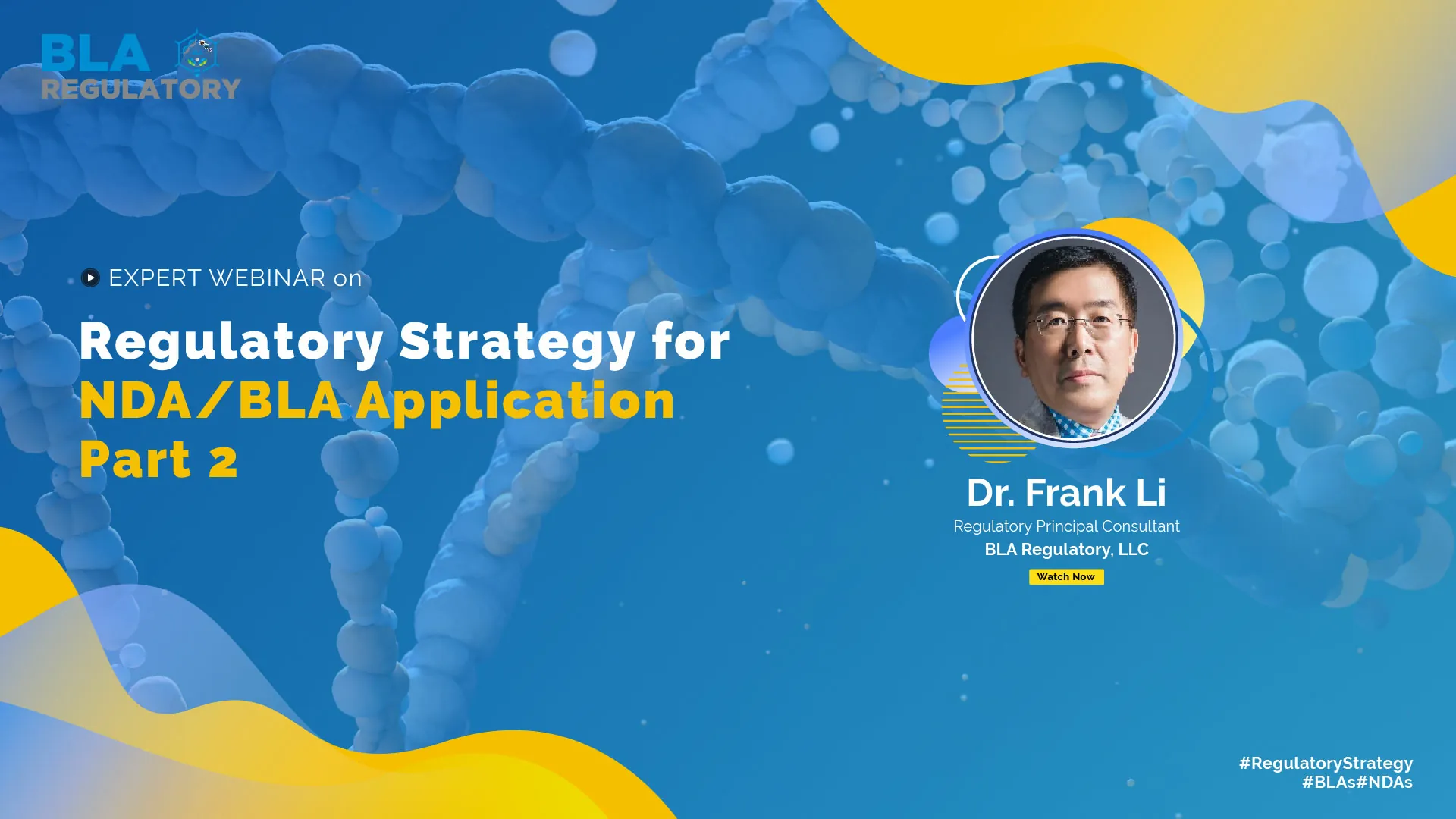 Day1 Regulatory Strategy And Execution 02 01