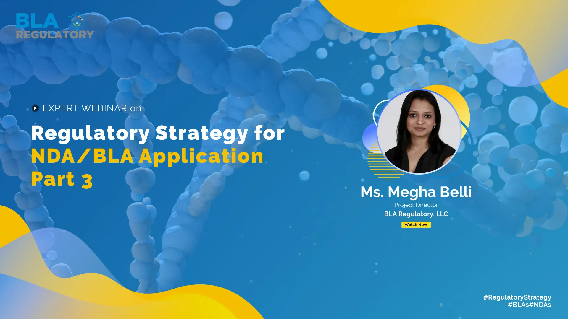 Day1 Regulatory Strategy And Execution 03 01